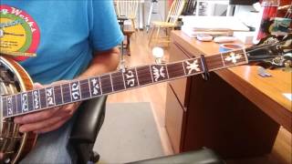 Cluck Old Hen - ala Ron Block of AKUS