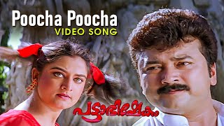 Poocha Poocha Video Song  Pattabhishekam  Jayaram 