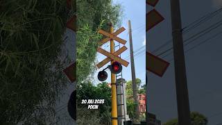 Download lagu Suara Sirine Kereta Cempreng, Palang Menutup Perlintasan Kereta Api Pocin - Railroad Crossing Train mp3