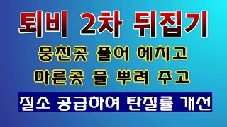 [텃밭농부. 1,361]  손수 만드는 퇴비. 2차 뒤집기 요점 정리 #퇴비만들기