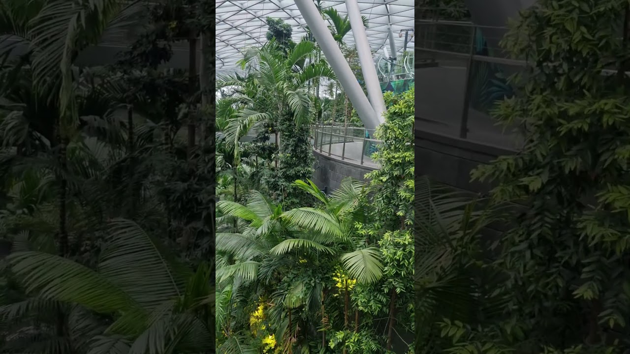 Hi there....#singapore #jewelchangiairport #waterfall #asia #rainforest