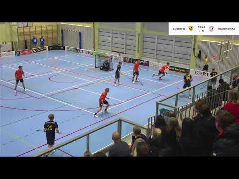 BBU - Tiikerit P19 1.div alkusarjan pudotuspelit toinen kierros ottelu 2  24.11.2025