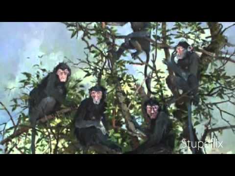 Zoran Plavšić - Aforizmi br.4