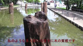 【地震で崩壊】相模川橋梁の保存場所に行ってきた！