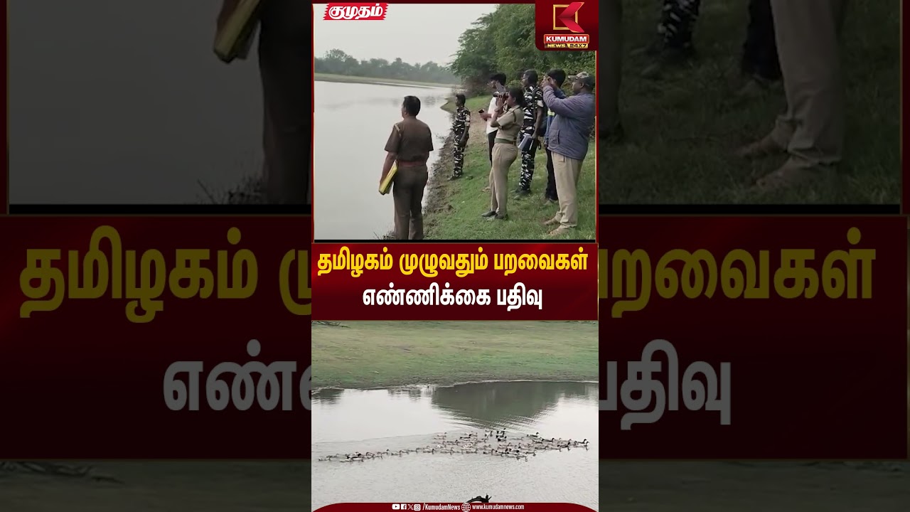 Birds Count | தமிழகம் முழுவதும் பறவைகள் எண்ணிக்கை பதிவு | Kumudam News