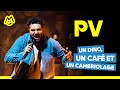 PV Un Dino Un Café Et Un Cambriolage