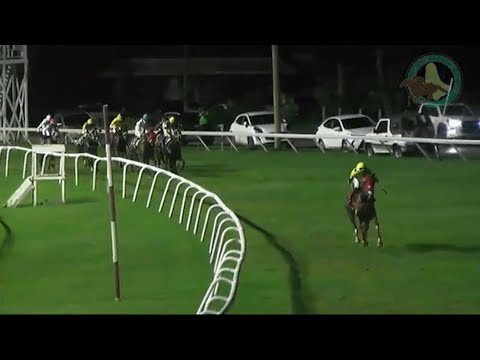 Nostradassa blazes to victory in 86th Visit Barbados Derby