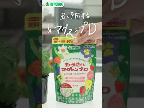 どの低木をキョウチクトウと組み合わせる？この植物の足元に置くのに最適な 5 つのコンパニオン プランツを見つけてください  庭園