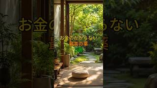 お金のかからない最高の薬5選！毎日できる健康習慣