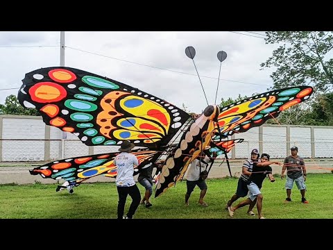 Kite Flying Competition @ Anilag 2025 #anilag2025 #lovelaguna #kiteflying