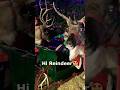 Adorable Toddler’s Reindeer Magic 🦌✨ | Festive Sleigh Ride🎄