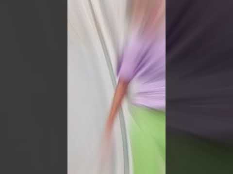 නෑසුනා DaNCe 🔥 | DEWMI | SSDF Choreography | Smokio  Ft. Dinesh @sanchanashashidancefoundat5328