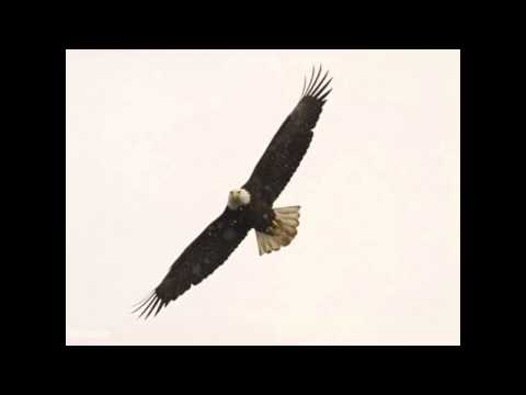 StyleZ - Flieg Davon (Prod. by TR - Beats)Bremen Rap