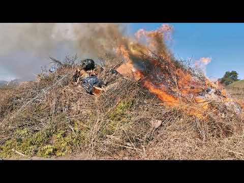 Valborg Uppsala 2020