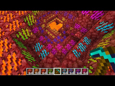 11 NEW Nether Updates that Should be added to 1.17!