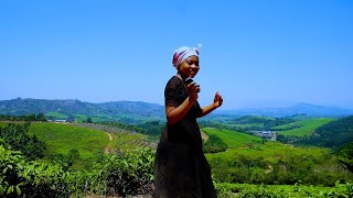 Download lagu HONDE VALLEY - A SECRET TREASURE OF ZIMBABWE🇿🇼💯💥 mp3