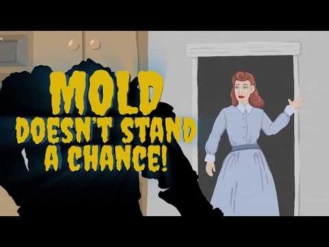download lagu mp3 mp4 Get Rid Of Mold In Dishwasher, download lagu Get Rid Of Mold In Dishwasher gratis, unduh video klip Get Rid Of Mold In Dishwasher