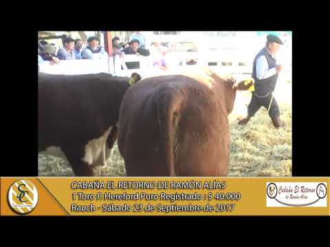 23-09-17 Venta de Toros Hereford P.R. - Cabaña El Retorno de Ramón Alías - Rauch