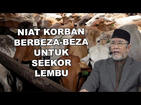 Niat Ibadah Korban yang Berbeza-beza Untuk Seekor Lembu | Dato' Dr. Danial Zainal Abidin