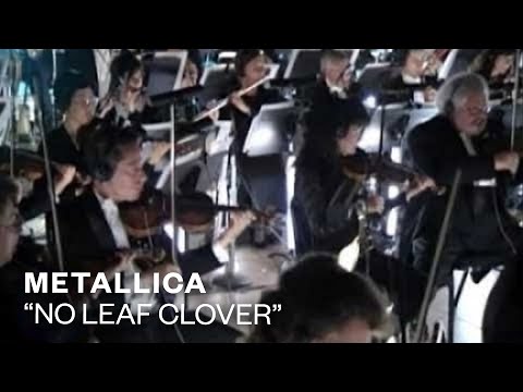 Clover in Make This Feeling Last Video