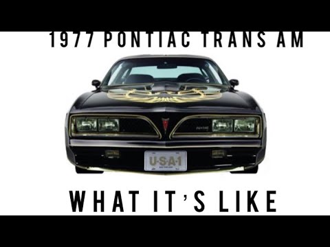 1977 Pontiac trans am RPO Y82 AKA Bandit review
