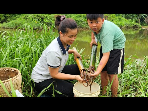 How to catch giant eels in the swamp