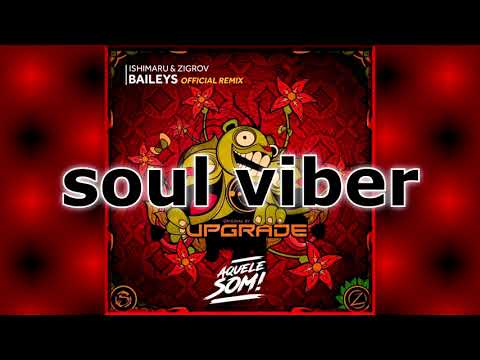 Upgrade - Baileys (ISHIMARU & ZIGROV Official Remix) [Aquele Som!]