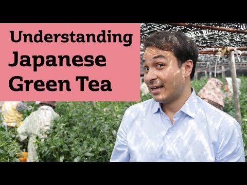 Understanding Japanese Green Tea. JAPAN TRIP