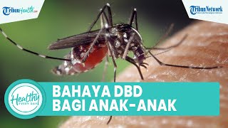 Waspadai Demam Berdarah pada Anak, Dokter Tan Shot Yen Sarankan untuk Segera Bawa ke Rumah Sakit