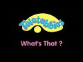 Closing To Teletubbies What S That 2003 VHS