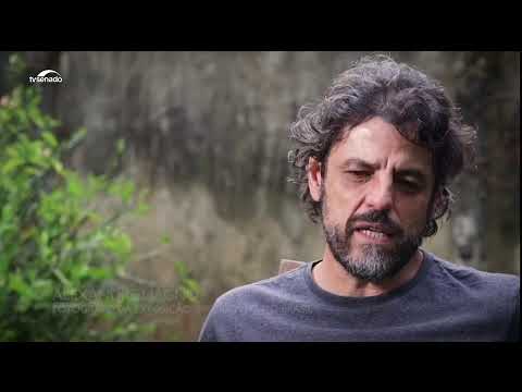 Eleições 2022 ao vivo - Acompanhe a cobertura da TV Senado e da TV Câmara