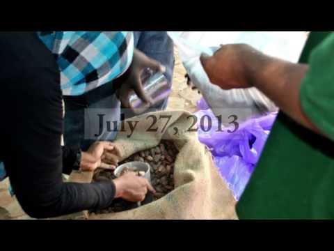 SCAON - To Sudan with Love Ramadan Project