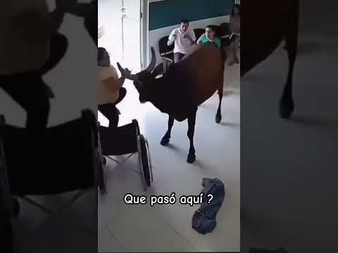 #republicadominicana #dembowdominicano #musica #dembow #edgar