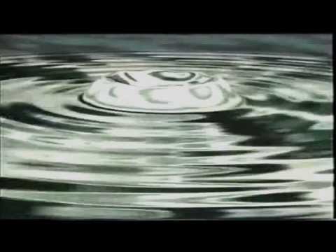 INDECORUM ➮➫➬➭ WALK WITH ME  ♒☹Official Music Video☹♒