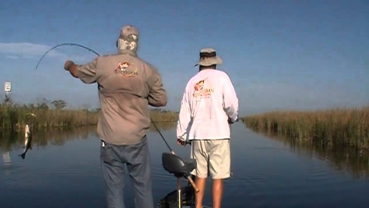 Best Frog Lure: The Original RUDE FROG: Florida Everglades Topwater Bass Fishing