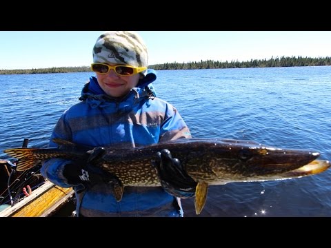 Big Pike Off The Dock At Brace Lake