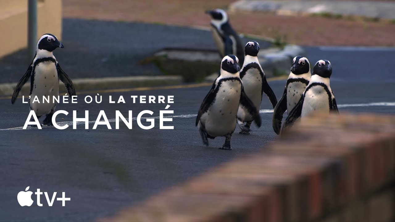 Bande-annonce officielle [VOSTFR]