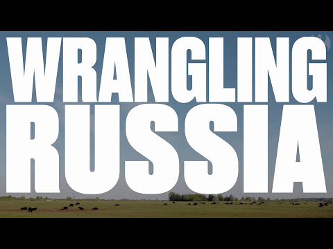 The American cowboys wrangling in Russia