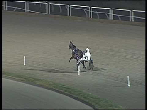 Trotto 17/01/2017 - prova di riqualifica