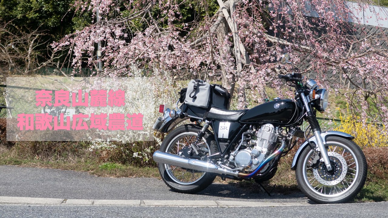 【SR400】大阪市から奈良の山麓線と和歌山の広域農道を通って泉南まで200km春のツーリング！