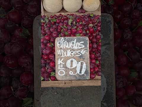 La Feria de Punta Carretas Montevideo Uruguay #uruguay