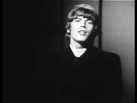 Herman's Hermits - Silhouettes (1965) (HD 60fps)