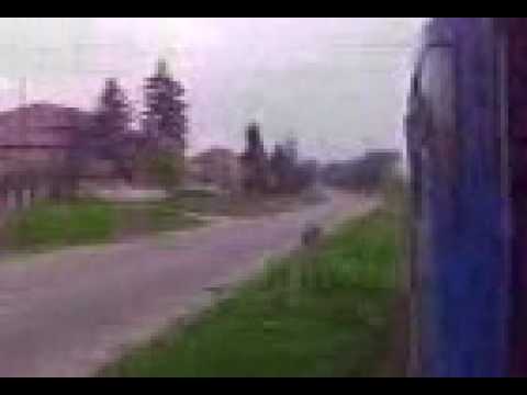 Bucsani valcea- ionesti.3gp