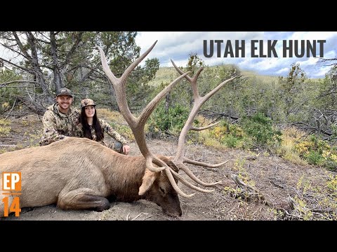 BIG BULL DOWN!!! UTAH ELK HUNT | Hunt Series EP. 14