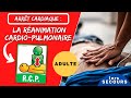 Arrêt cardiaque ADULTE : la réanimation cardio-pulmonaire - R.C.P. ı Formation premiers secours