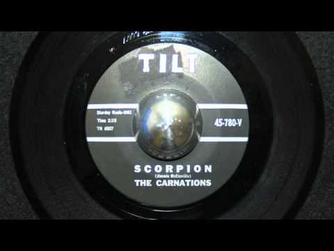 The Carnations / Scorpion