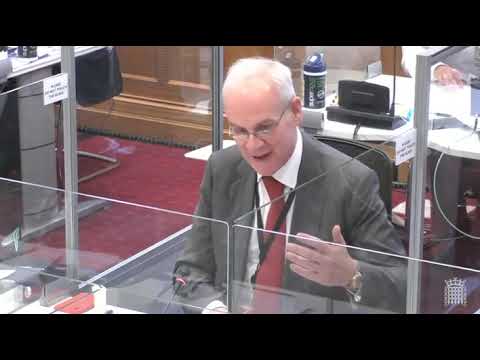 Lords Grand Committee 06 07 21 19 03 24