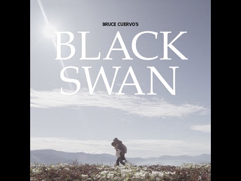 Black Swan - Bruce Cuervo