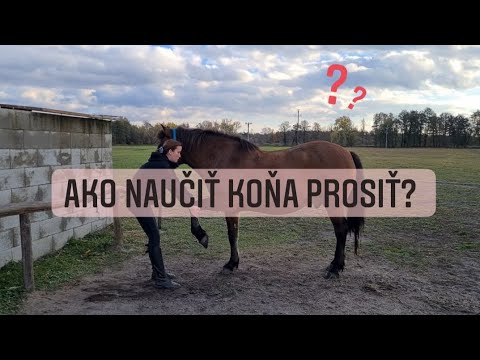 , title : 'Ako prosí kôň?'