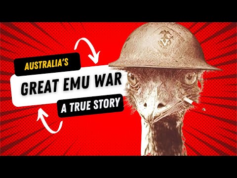 The GREAT EMU WAR - A True Australian tale. Told by comedian Monty Franklin